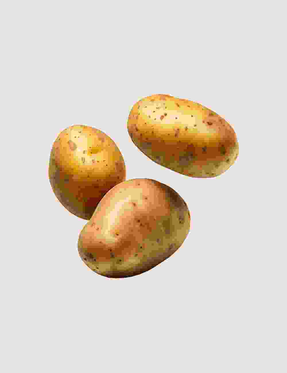 Shop Primary Image Shop Primary Image