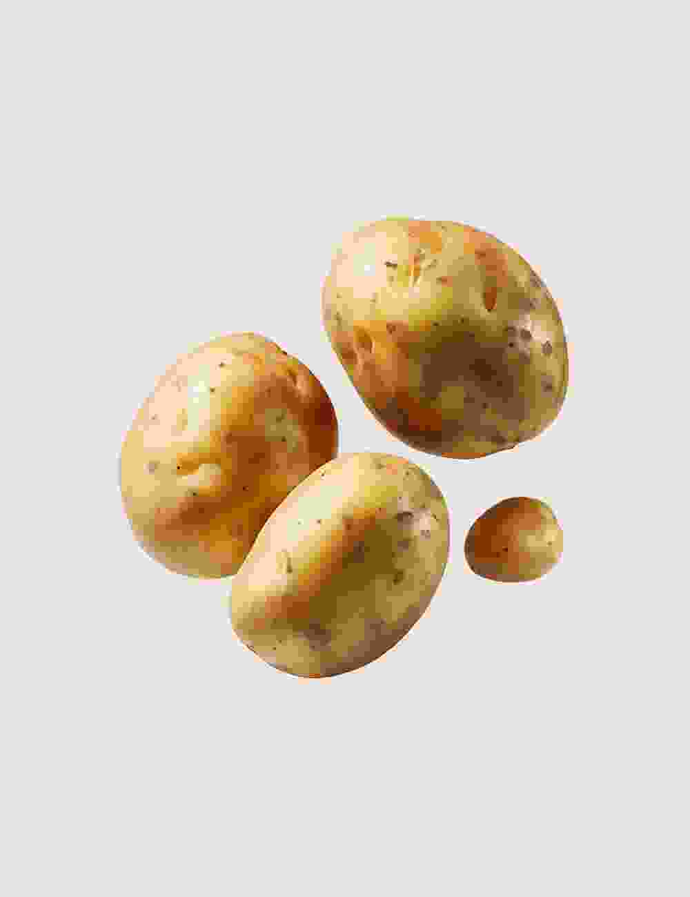 Shop Secondary Image Shop Secondary Image