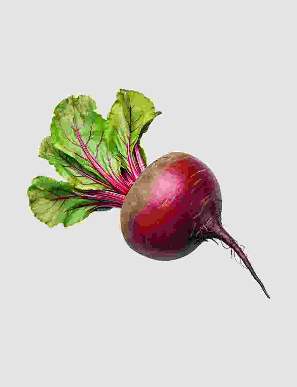 Shop Primary Image Shop Primary Image