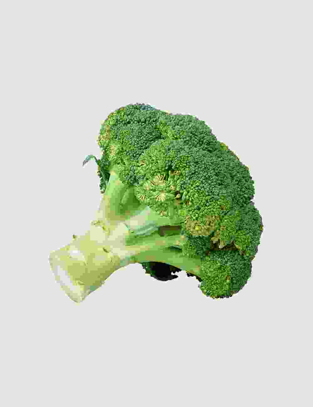 Shop Primary Image Shop Primary Image